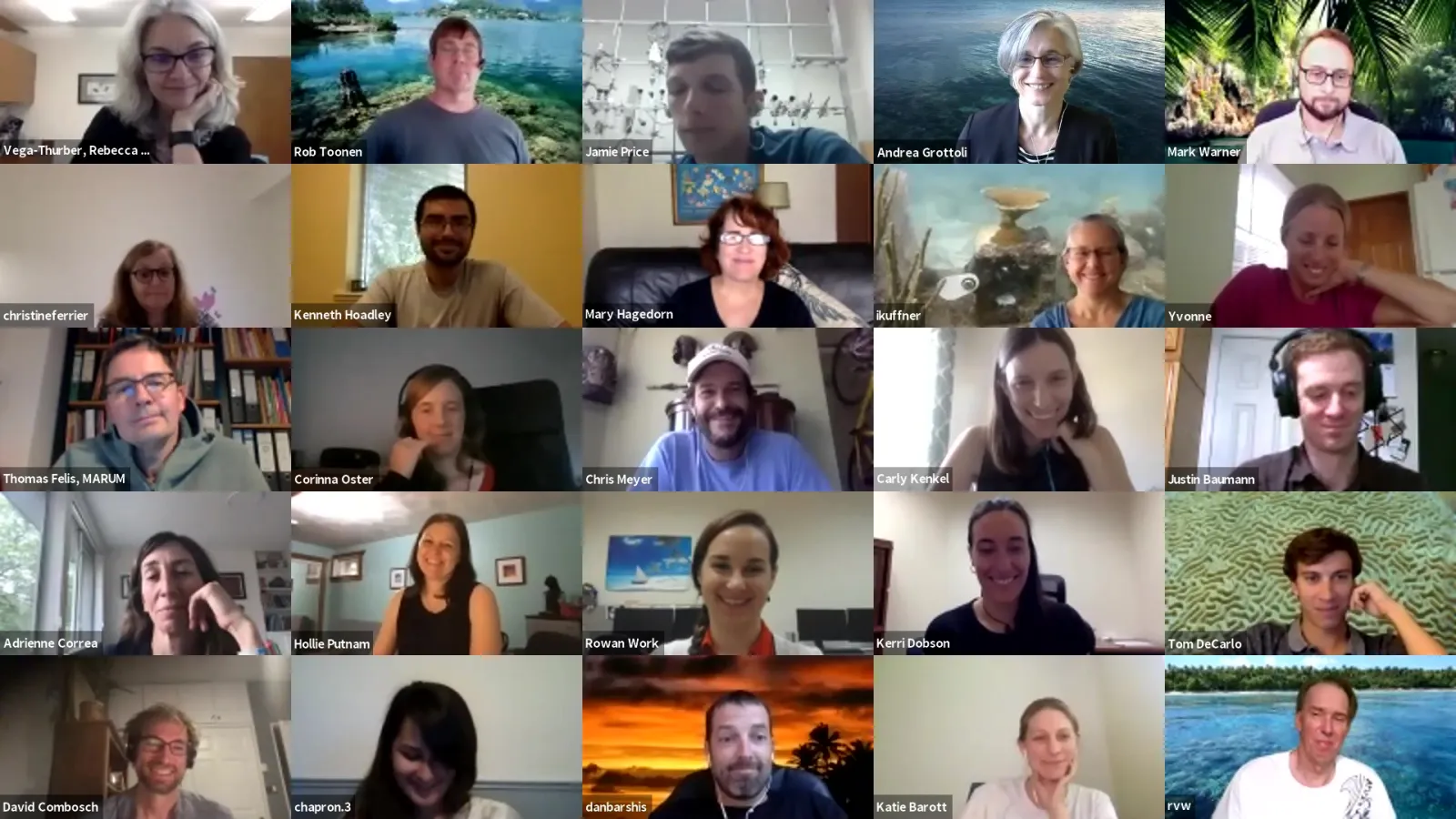 Photo of Zoom meeting participants
