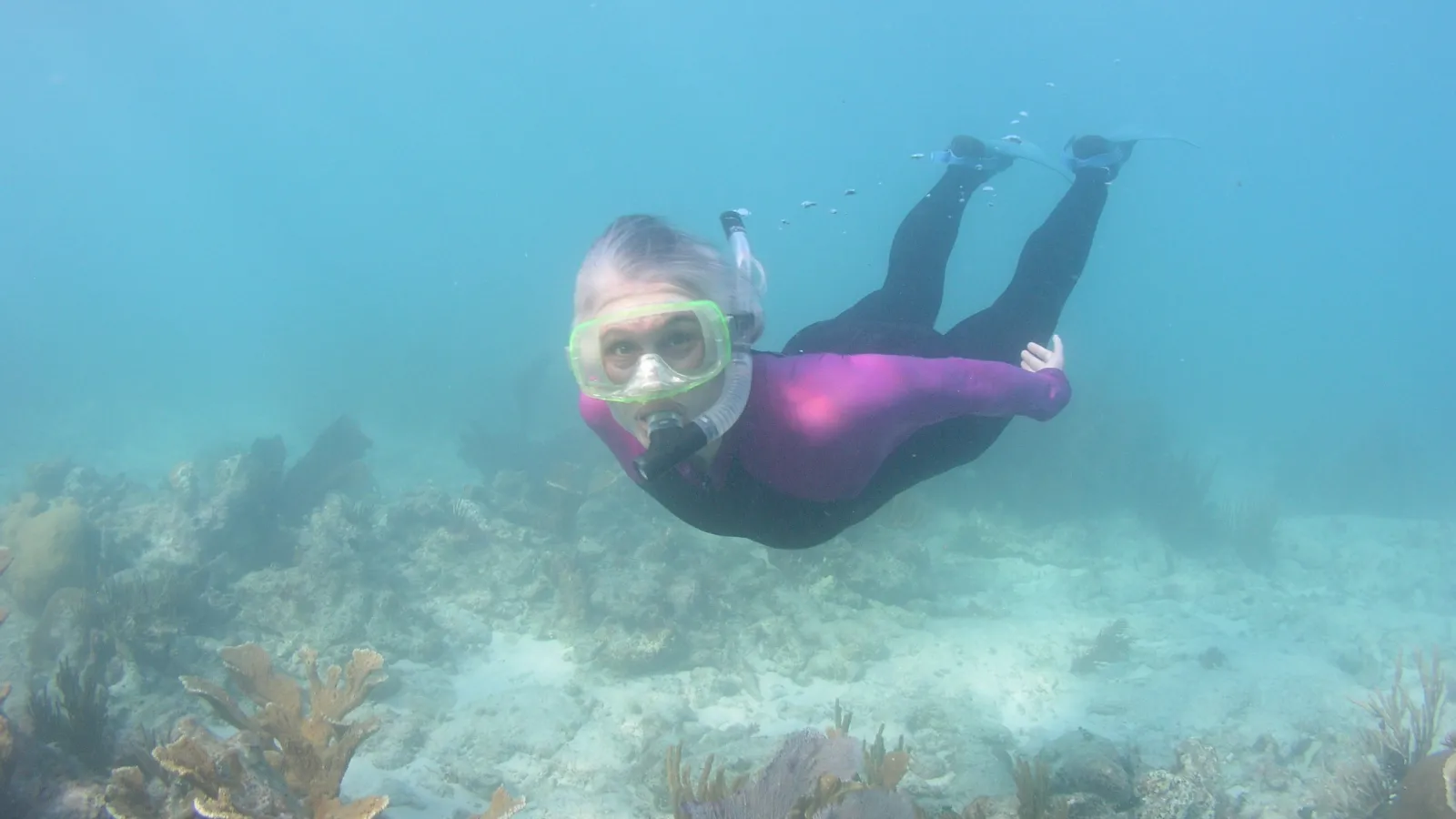 Prof Andrea Grottoli snorkeling on a coral reef at the Dry Tortugas, FL.