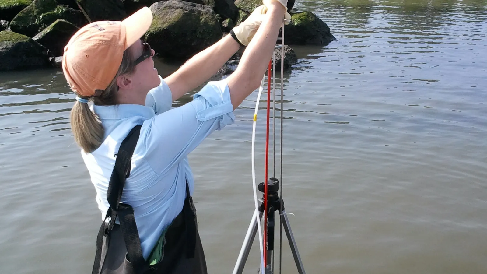 Sawyer sampling contaminants from the sea bottom.