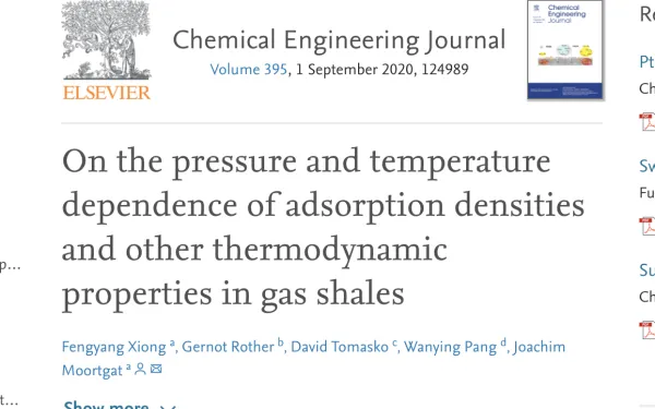 Screenshot of the publication title