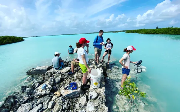 students in the bahamas